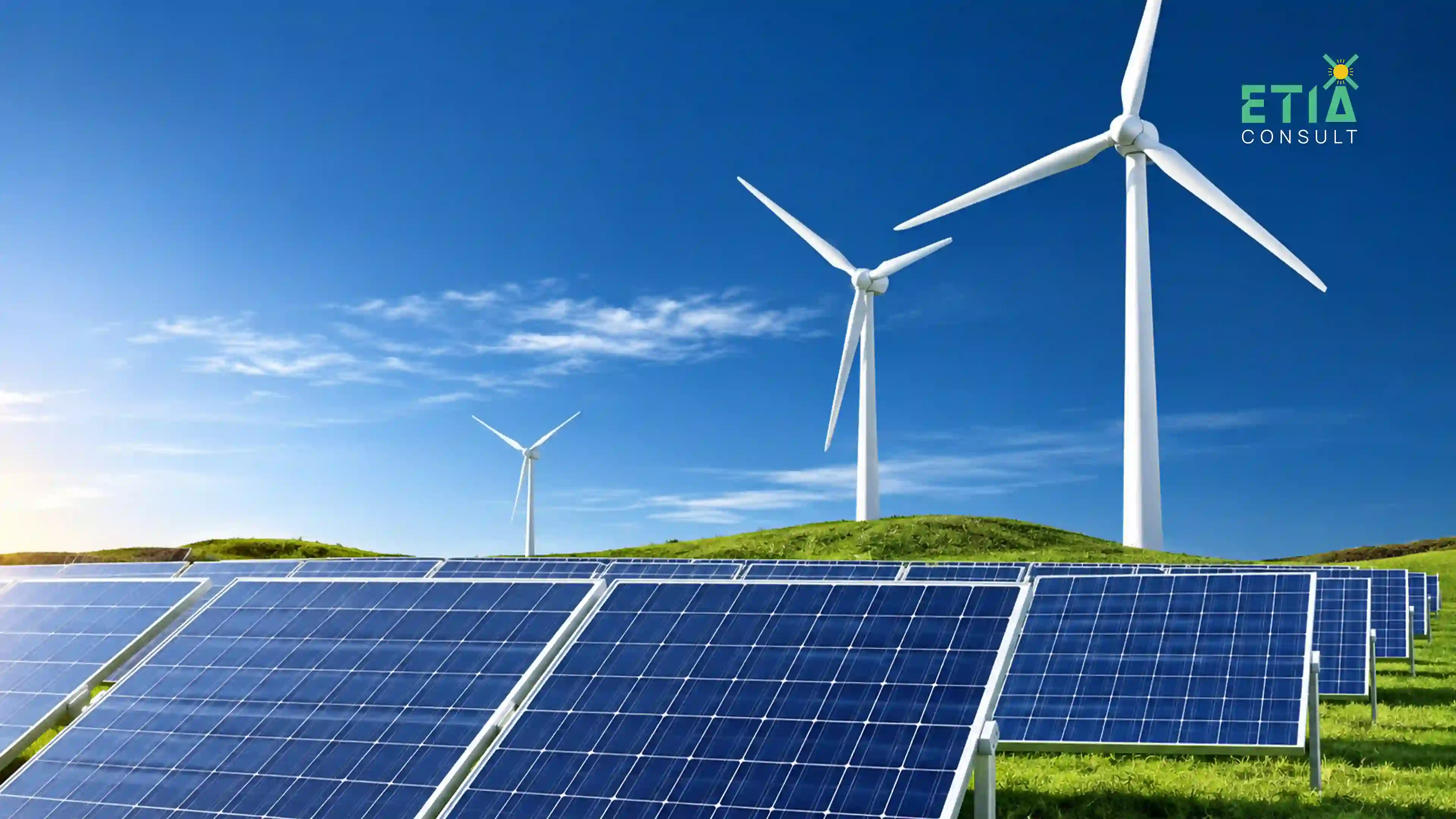 ESG and digital transformation consulting solutions for businesses