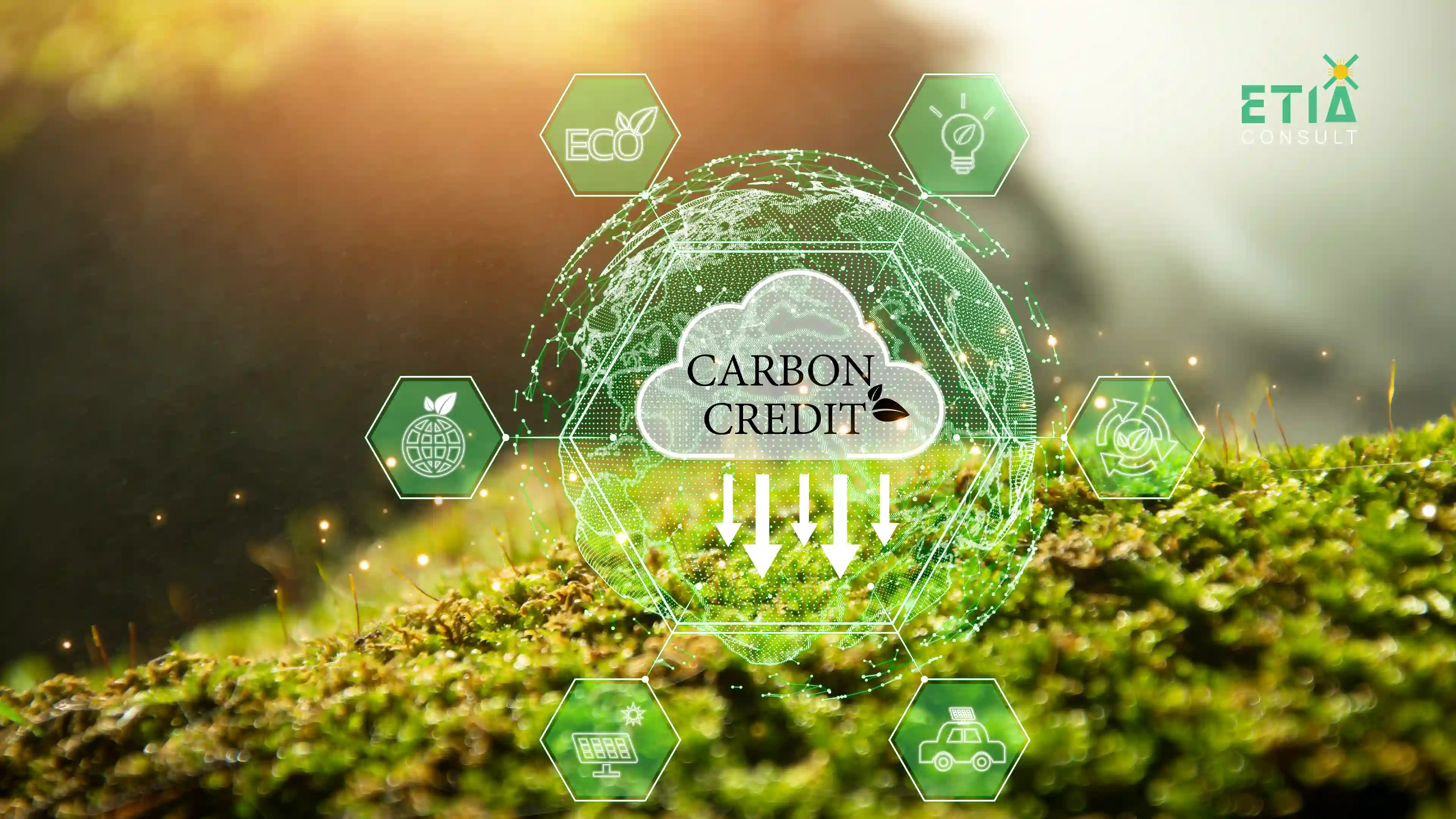 Carbon credits explained with businesses trading verified carbon credits to offset greenhouse gas emissions and support sustainability goals through global carbon markets