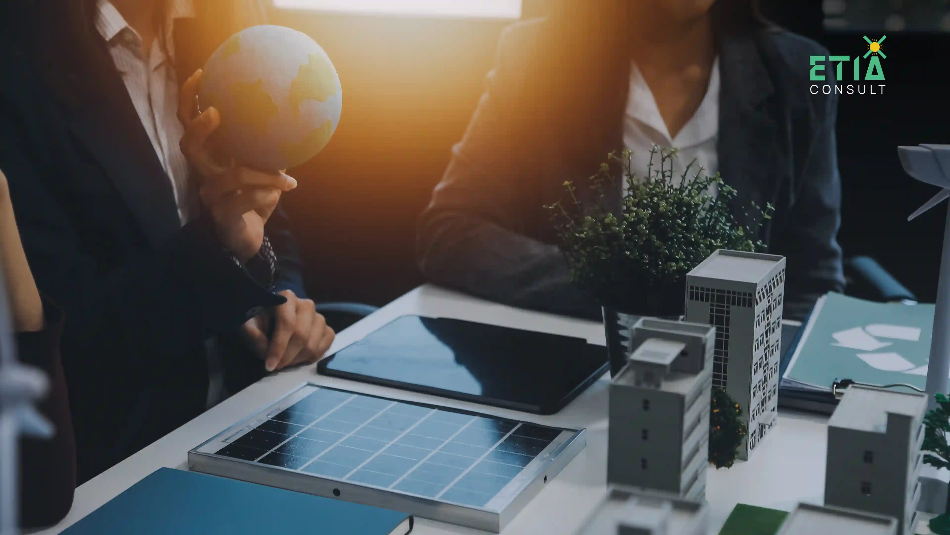 ETIAconsult consultants reviewing legacy systems and business workflows during a digital transformation assessment for a regional energy provider