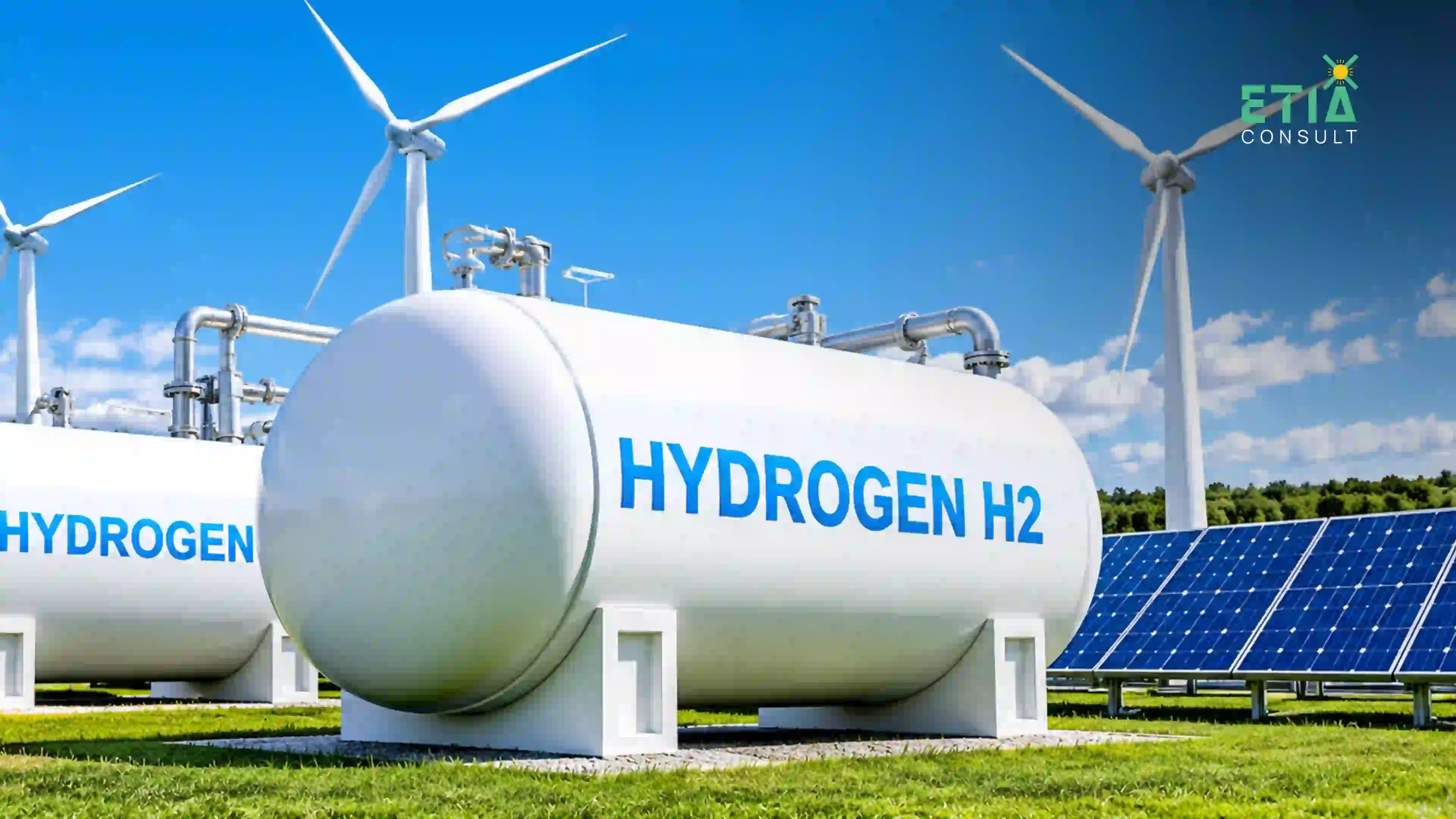 Hydrogen production infrastructure supporting renewable hydrogen and the wider hydrogen economy