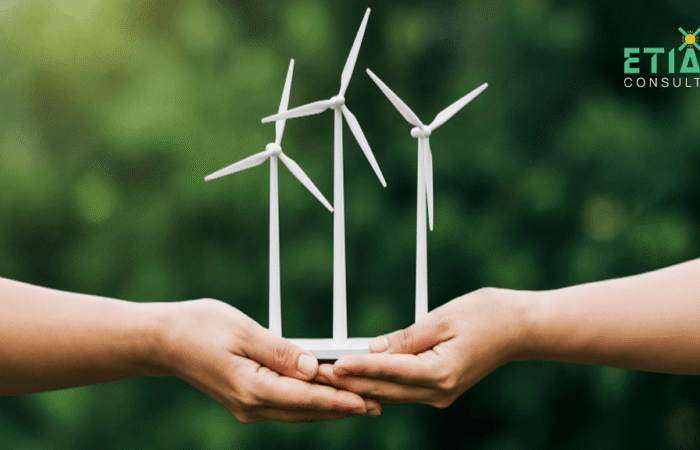Energy Market Design: How Rules Shape Trading and Investment