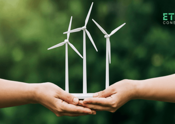 Energy Market Design: How Rules Shape Trading and Investment
